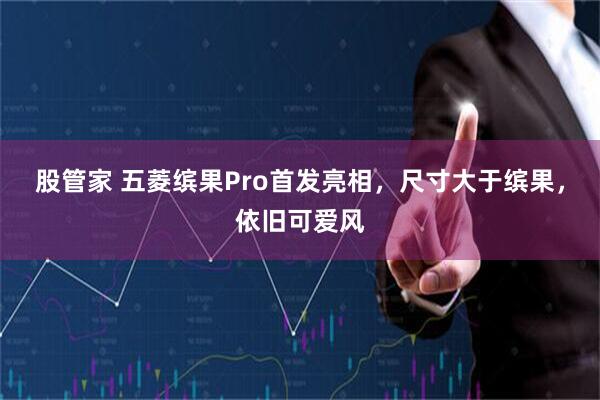 股管家 五菱缤果Pro首发亮相，尺寸大于缤果，依旧可爱风