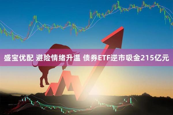 盛宝优配 避险情绪升温 债券ETF逆市吸金215亿元